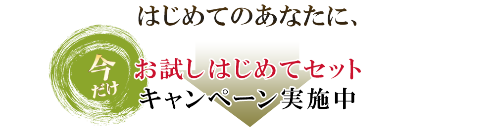 ヨシケイのはじめてのあなたにお試しキャンペーン