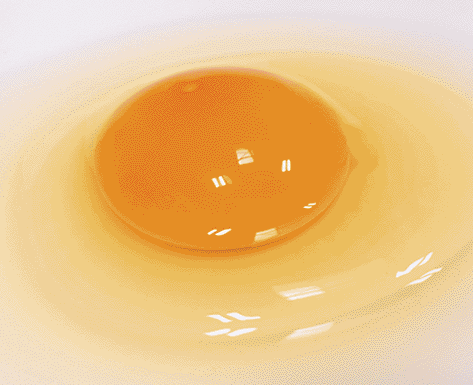 ヨシケイ埼玉の素材へのこだわり