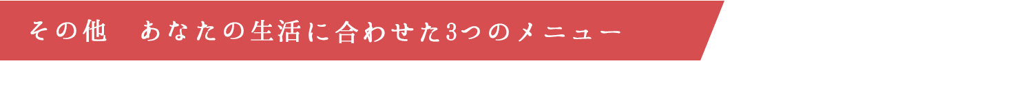 その他　あなたの生活合わせた3つのすまいるごはん