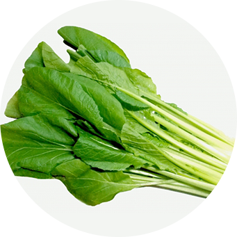 小松菜