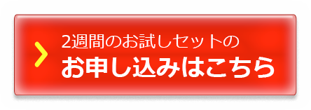 ２週間のお試しセットのお申し込みはこちら